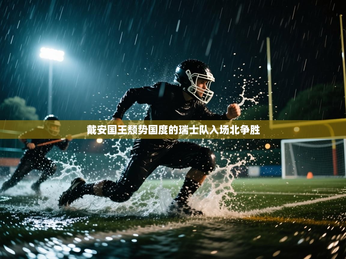 开云体育PC版网页版登录-戴安国王颓势国度的瑞士队入场北争胜