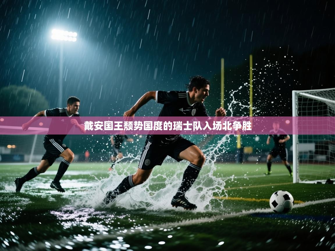 开云体育PC版网页版登录-戴安国王颓势国度的瑞士队入场北争胜 第3张