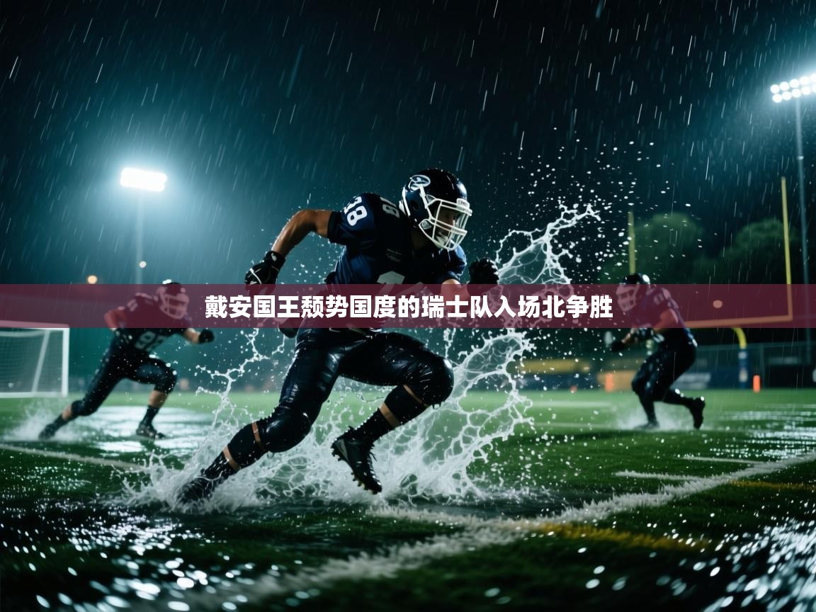 开云体育PC版网页版登录-戴安国王颓势国度的瑞士队入场北争胜 第4张