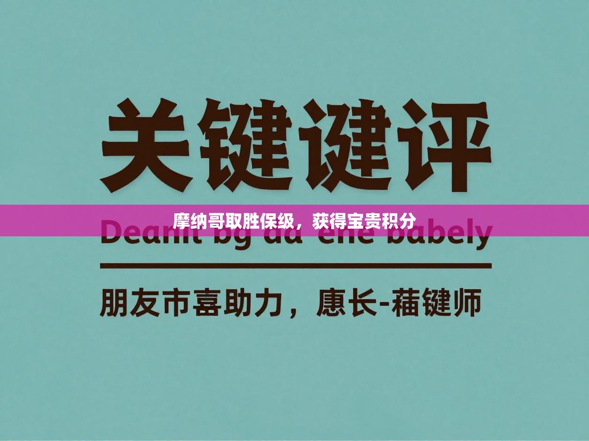 开云入口-摩纳哥取胜保级，获得宝贵积分  第4张