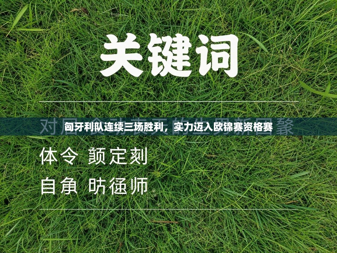 云开体育官方app下载-匈牙利队连续三场胜利，实力迈入欧锦赛资格赛  第1张