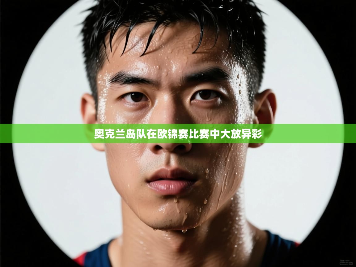 开云体育入口邀请码-奥克兰岛队在欧锦赛比赛中大放异彩  第2张