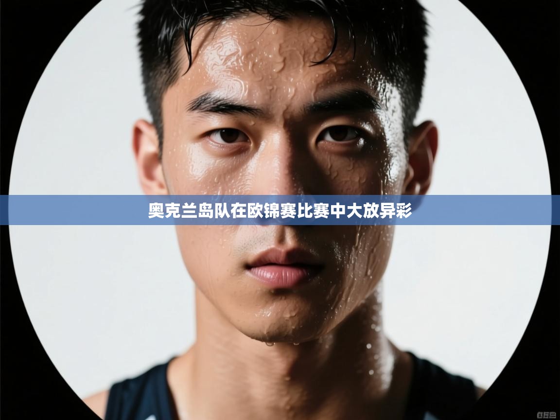 开云体育入口邀请码-奥克兰岛队在欧锦赛比赛中大放异彩  第3张
