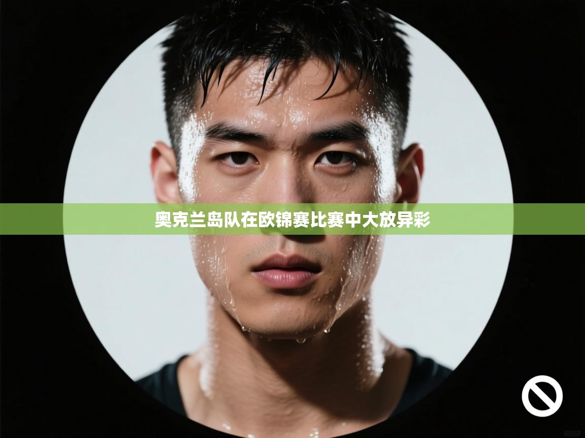 开云体育入口邀请码-奥克兰岛队在欧锦赛比赛中大放异彩  第4张